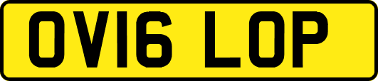 OV16LOP