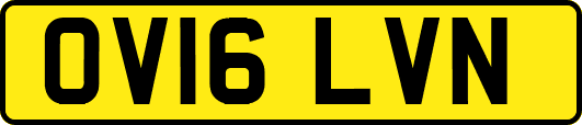 OV16LVN
