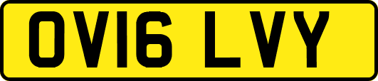 OV16LVY