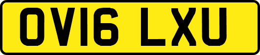 OV16LXU