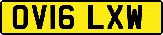 OV16LXW