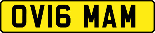 OV16MAM