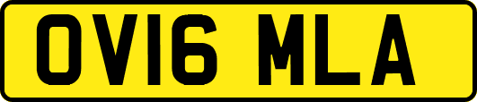 OV16MLA