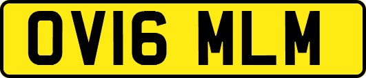 OV16MLM