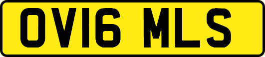 OV16MLS