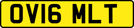 OV16MLT