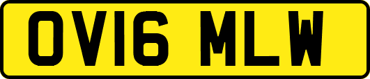 OV16MLW