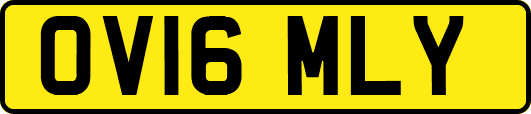 OV16MLY