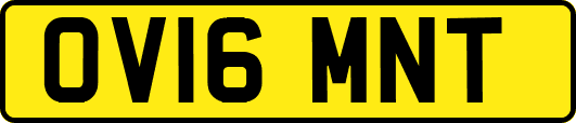 OV16MNT