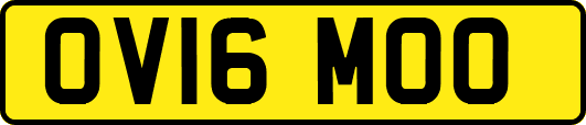 OV16MOO