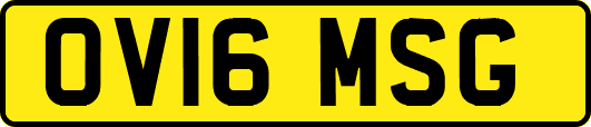 OV16MSG