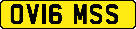 OV16MSS