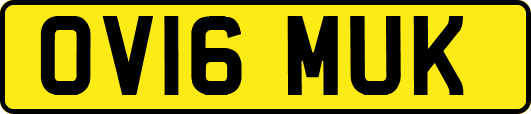 OV16MUK