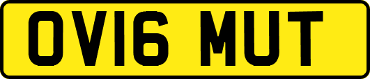 OV16MUT