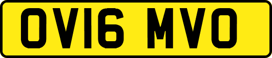 OV16MVO