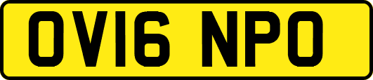 OV16NPO