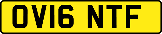 OV16NTF