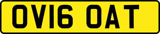 OV16OAT
