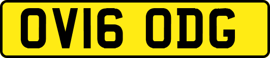 OV16ODG