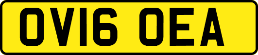OV16OEA