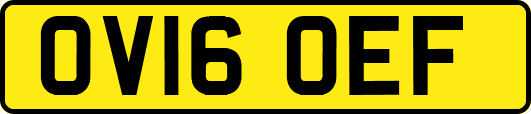 OV16OEF