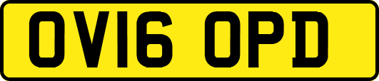 OV16OPD
