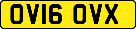 OV16OVX