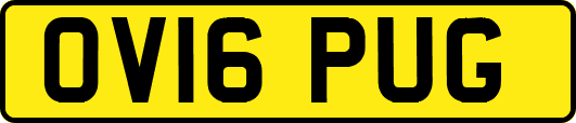 OV16PUG