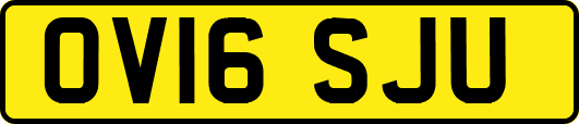 OV16SJU