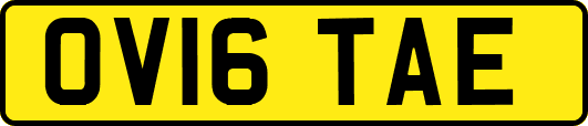 OV16TAE