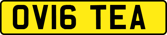 OV16TEA