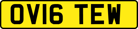 OV16TEW