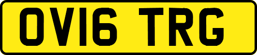 OV16TRG