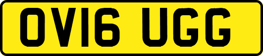 OV16UGG