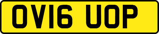 OV16UOP