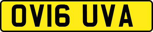OV16UVA