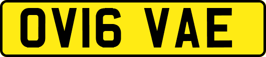 OV16VAE