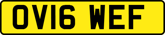 OV16WEF