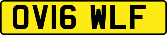 OV16WLF