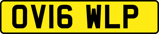 OV16WLP