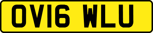 OV16WLU