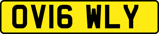OV16WLY