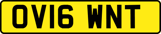OV16WNT