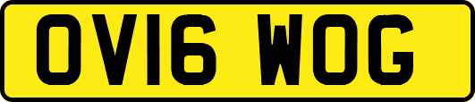 OV16WOG