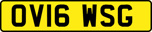OV16WSG