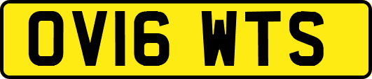 OV16WTS