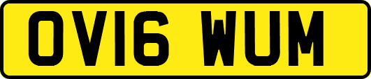 OV16WUM