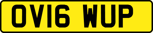 OV16WUP