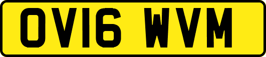 OV16WVM