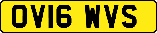 OV16WVS